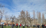В Волгодонске более 1700 горожан вышли на масштабный субботник