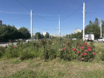 «Волгодонск – моя деревня?»: в центре нового города женщина усомнилась, что она в атомграде