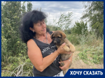 «Щенка спасли, а дети могут погибнуть!»: горожане просят огородить опасный колодец у дороги на старый пляж В-9