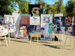 Как Волгодонск отмечает 76-летие со дня основания города