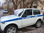 Бесплатная вакцинация против бешенства: в Волгодонске и Цимлянске можно сделать прививку питомцу
